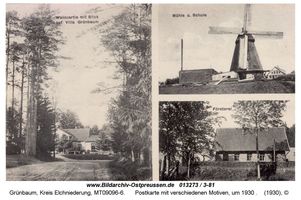 Grünbaum Kr. Elchniederung, Kreis Elchniederung  