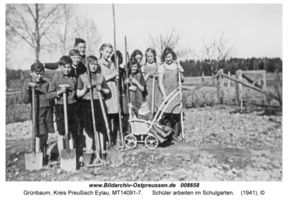 Grünbaum Kr. Preußisch Eylau, Kreis Preußisch Eylau 