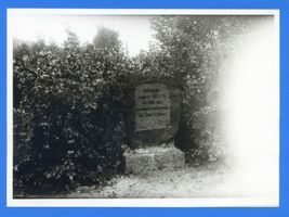 Zinten, Kreis Heiligenbeil Zinten, Gedenkstein Waldbad Цинтен, памятный камень лесного бассейна