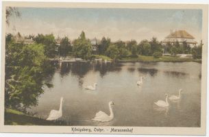 Königsberg (Pr.), Stadtkreis Königsberg 