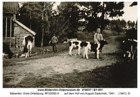 Babanten, Kreis Ortelsburg 