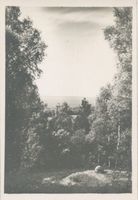  Krs. Elbing, Elbinger Höhe, Blick von der Skihütte auf das Haff III Frische Nehrung - Frisches Haff
