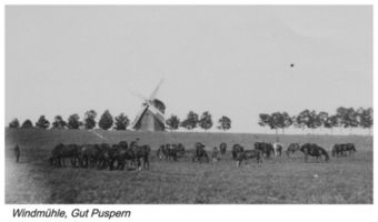 Puspern, Kreis Gumbinnen 