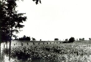 Wargienen Kr. Samland, Kreis Samland 