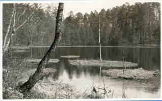  Osterode (Kreis), Drenzkosee mit schwimmenden Inseln 