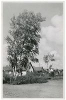 Sarkau, Kreis Samland Sarkau, Einzelhäuser II 