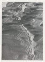  Kurische Nehrung, Dünen, Linienbildung auf feuchtem Sand Kurische Nehrung, Dünen, Sandstrukturen