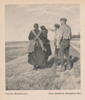  Weichsel, Auf dem Weichseldamm Висла, на вислинской дамбе