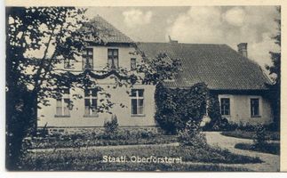 Puppen,  Ort, Kreis Ortelsburg Puppen, Staatliche Oberförsterei 