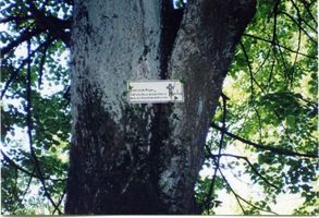 Güldengrund, Kreis Tilsit-Ragnit Güldengrund (Griwino), Friedhof mit einem vom Fotografen angebrachten Schild 