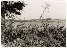 Gusken Kr. Lyck, Kreis Lyck 