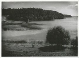  Drewenzsee bei Pillauken, Faltianker Spitze 