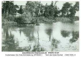Kuckerneese, Gut, Kreis Elchniederung Hafenstraße