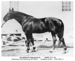 Rastenburg, Stadt, Kreis Rastenburg Sembeckstraße