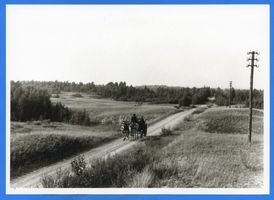 Schwarzort, Kreis Memel Schwarzort, Fahrstraße auf der Nehrung II 