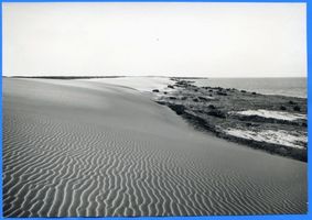  Frische Nehrung, Wanderdünen bei Pillau II 