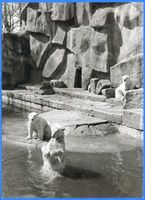 Königsberg (Pr.), Stadtkreis Königsberg Hufenallee