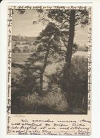 Nidden, Kreis Memel Nidden, Radtkeblick 