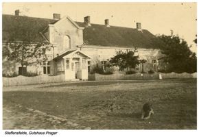 Steffensfelde, Kreis Gumbinnen 