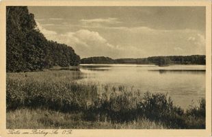  Bärtingsee, Partie am Bärtingsee Masurische Seen