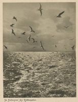  Kurisches Haff, Im Kielwasser des Haffdampfers 