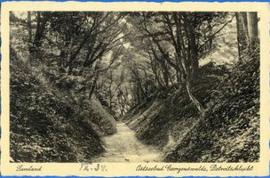 Georgenswalde, Kreis Samland Georgenswalde, Detroitschlucht III Георгенсвальде, ущелье Детройт III