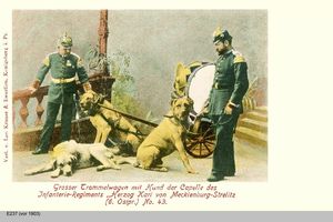 Königsberg (Pr.), Stadtkreis Königsberg 