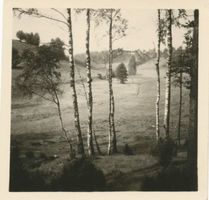  Drewenz, An der Drewenzquelle bei Hanshagen 