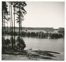  Niedersee, Am Niedersee bei Rudczanny IX Masuren, Niedersee