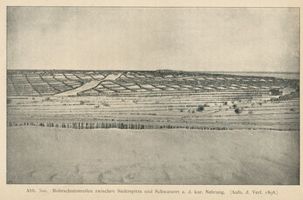  Kurische Nehrung, Rohrschutzstreifen zwischen Süderspitze und Schwarzort Kurische Nehrung, Dünen