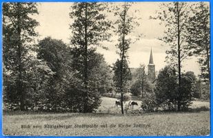 Juditten Stadtkr. Königsberg, Stadtkreis Königsberg Juditten Kr. Königsberg, Blick vom Königsberger Stadtwald auf die Kirche Juditten Stadtkr. Königsberg, Kirche