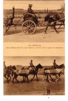 Narzym, Kreis Neidenburg 