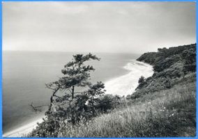 Palmnicken, Kreis Samland Palmnicken, Steilküste III 