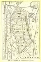 Pillkoppen, Kreis Samland Pillkoppen, Festlegung der Wanderdünen bei Pillkoppen Kurische Nehrung, Dünen