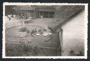 Landkeim Kr.Samland, Kreis Samland Landkeim Kr. Samland, Gut,  Hühnerhof und Göbel zum Wasserpumpen 