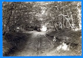 Osterode (Ostpr.), Kreis Osterode Osterode (Ostpr.), Hohlweg im Leschakwald 