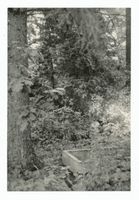 Grabnick Kr. Lyck, Ort, Kreis Lyck Grabnick Kr. Lyck, Friedhof II Грабник, Лыкский уезд, кладбище, II