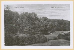 Liebstadt, Kreis Mohrungen 