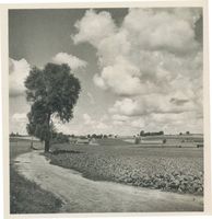  Rominter Heide, Siedlungsgebiet der Salzburger Роминтенская пуща, район расселения зальцбуржцев