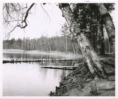  Niedersee (See), Uferweg Masuren, Niedersee