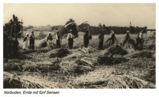 Norbuden, Kreis Gumbinnen 