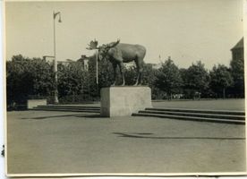 Tilsit, Stadt, Stadtkreis Tilsit 