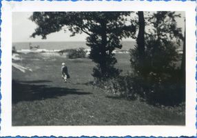 Nimmersatt, Kreis Memel Nimmersatt, Landschaft am Meer 