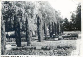 Groß Kleeberg, Kreis Allenstein Groß Kleeberg, Soldatenfriedhof 