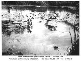 Plein, Kreis Elchniederung 