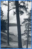  Beldahnsee, Partie am Beldahnsee bei Forsthaus Masurische Seen