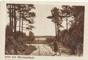  Kurische Nehrung, Heide- und Moorlandschaft 