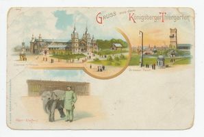 Königsberg (Pr.), Stadtkreis Königsberg Königsberg (Pr.), Tiergarten, Konzert-Haus, Großer Teich, Reit Elefant Königsberg, Tiergarten