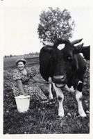 Groß Heinrichsdorf, Ort, Kreis Elchniederung 