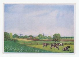 Hochdünen, Kreis Elchniederung Hochdünen fr. Schillgallen, Landschaft Memellandschaft